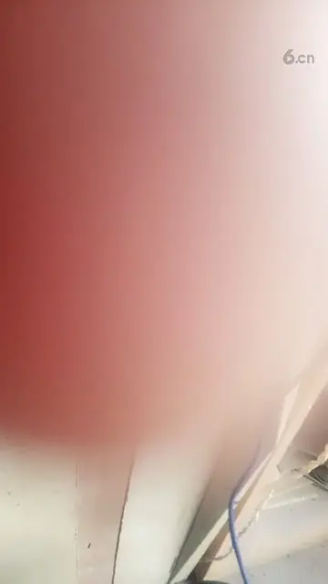 伤疤多了也就忘记疼了