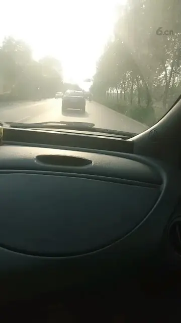 .哈哈社会我伟哥