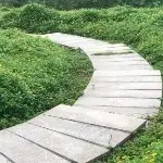 糟老头看美女