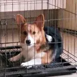 帝豪家里的地主婆