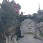 简简单单过一生g