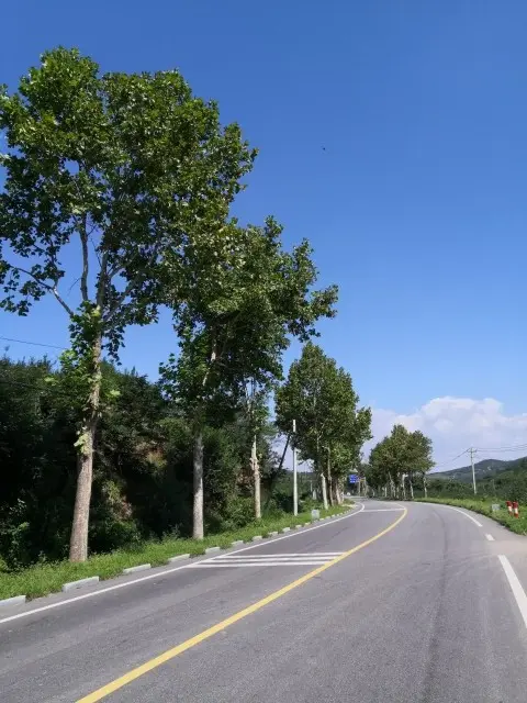 悄悄～的图片