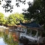 只听唱歌