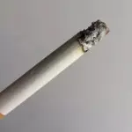 ❥为爱♥゛挑粪ლ