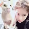 何袅袅