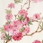 时光流逝，在无痕迹