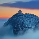 独狼龙翼