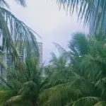 鹏程业梦