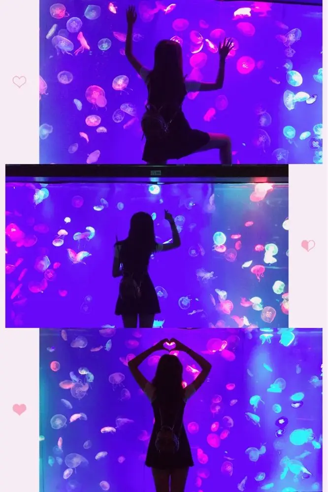 小果❤️求过任务的主播照片