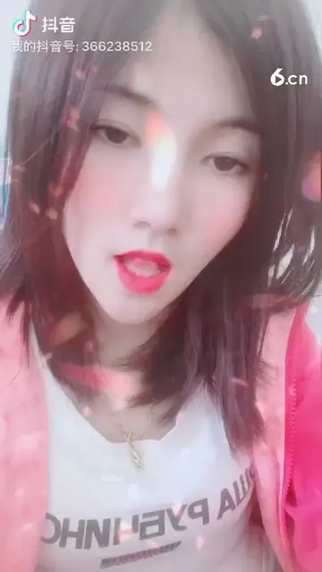 从此不再碰感情 没你我不是不行