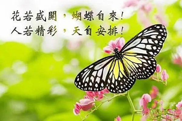 ℤℂ默默❤守候的主播照片