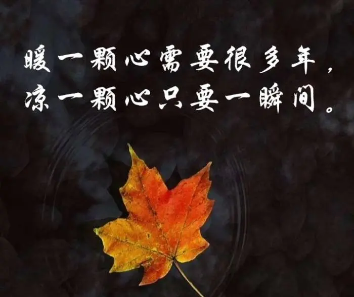 ℤℂ默默❤守候的主播照片