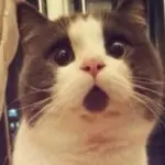 *请叫我李老板