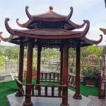 A.自由飞翔