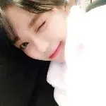 🍭思念果🍭