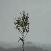 春秋与天地