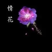 死★磕