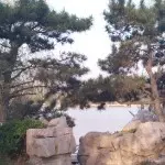☂爱遛弯的蚂蚁☂