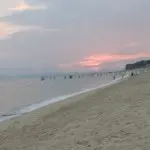 奶奶个腿。