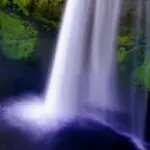 妇科队长