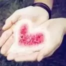 红太阳。7
