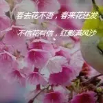石破天叮当