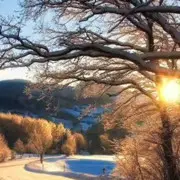 满血复活，谁来拯救