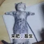 丶蹦蹦跳跳
