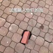 大大大大@