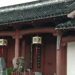 沉思的鱼♥♥