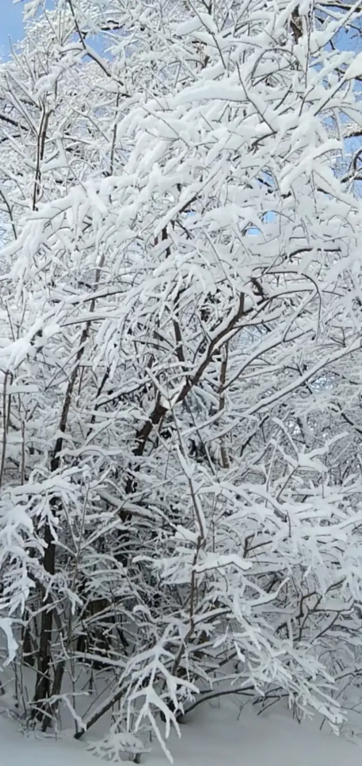 大美雪乡欢迎你！