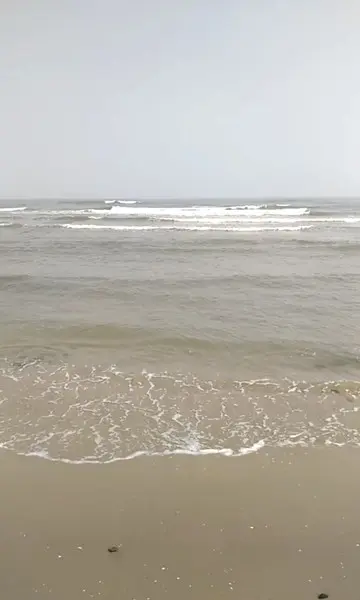 海海
