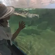 四叶草🍀小英