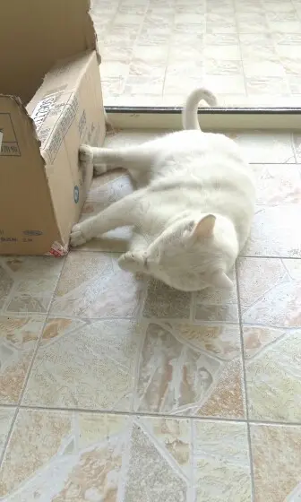 半卷书的主播照片