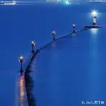 情谊联盟