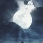 小加尔