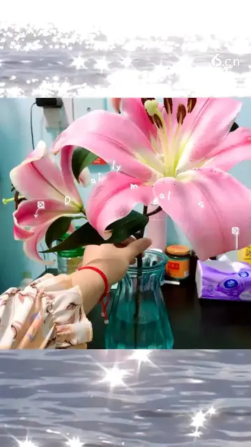 很久没动态了，发一个，证明我活