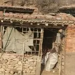 手机星星你要吗