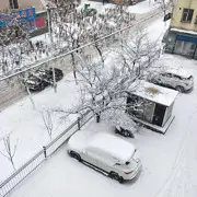 听❤️