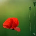 168898