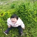 再会无缘的情人，