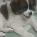 8897梦诛
