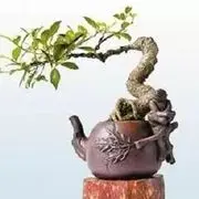 猫王style