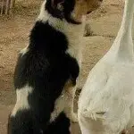 一物降一物钱能降万物
