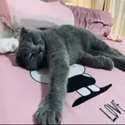 恶魔横行8