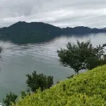 ❤️无聊哥❤️