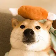 有位悄悄