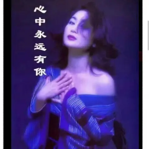 农村陈燕的主播照片