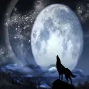 郎🐺🐺🐺🐺狼