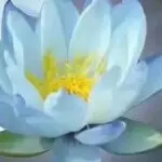 当雨下的季节幸福开始